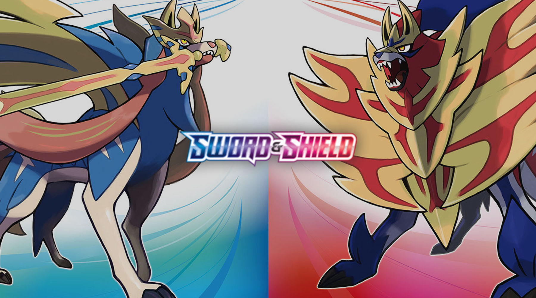 Sword & Shield