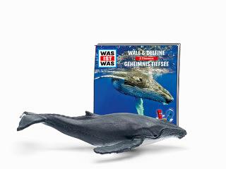 Tonie Figures WHAT IS WHAT Whales &amp; Dolphins / Secret Deep Sea Audio Figure for Toniebox